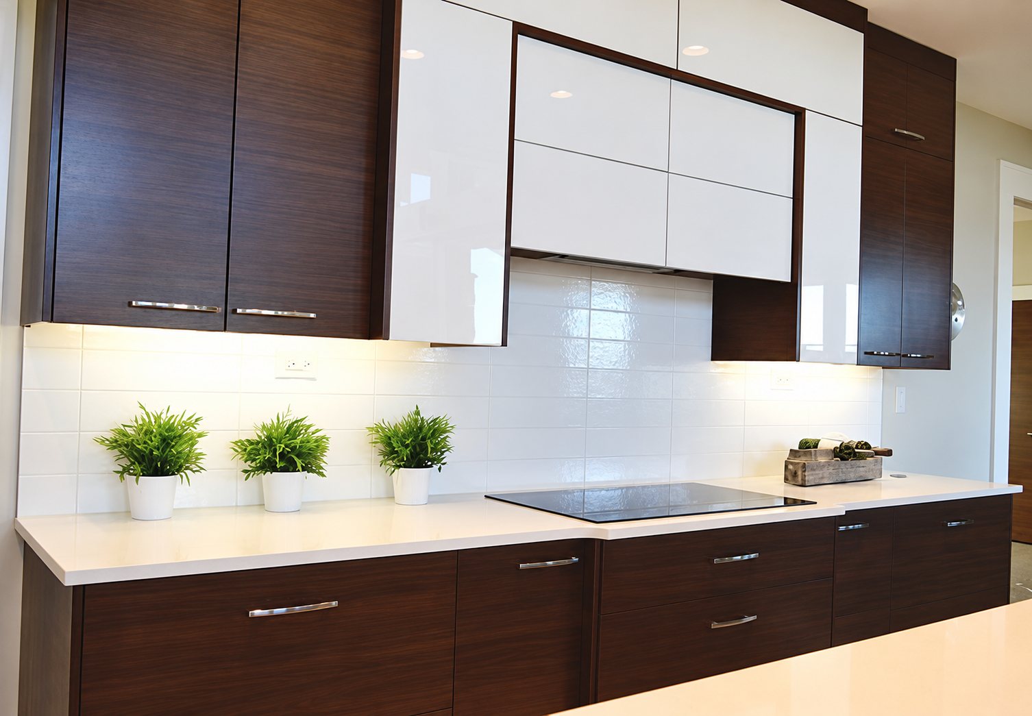 Cuisine contemporaine équipée de meubles en bois foncé et de façades blanches brillantes, avec plaque de cuisson et trois petites plantes vertes sur le plan de travail.